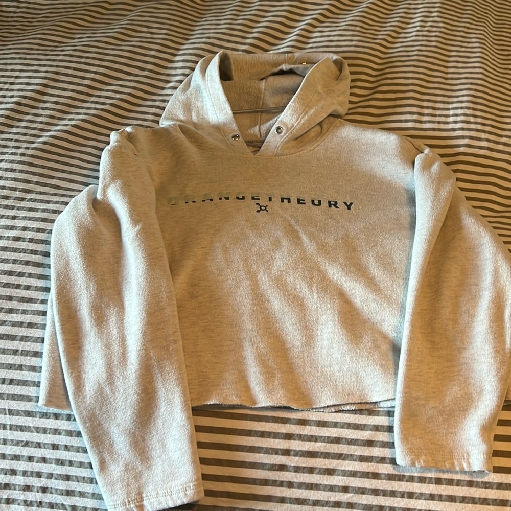 Orangetheory Light Gray Cropped Hoodie